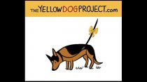 8.18.14 - Yellow Ribbon Campaign Hopes to Raise Awareness for Dogs Needing Space2