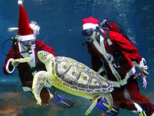 [NATL] Weird News Photos: Santa Edition