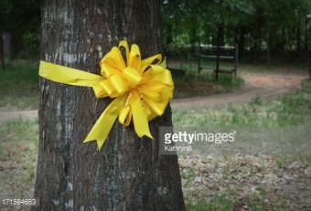 Military Yellow ribbons for trees