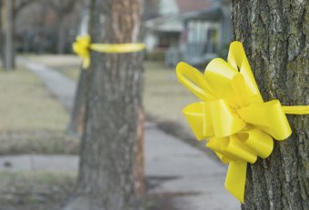 Yellow ribbon tied around a tree meaning