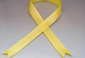 Yellow ribbon tied around dog leash