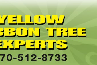 Yellow Ribbon Tree service