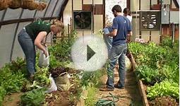 Introduction to the Veterans Organic Farming Program
