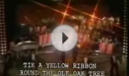 邓丽君--yellow ribbon