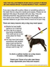 yellow ribbon on dog leash