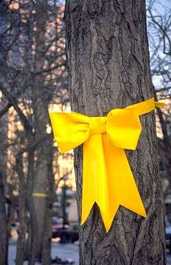 Yellow Ribbon Tree story | Yellow Ribbon