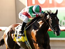 Hollendorfer Duo Part of Even Yellow Ribbon