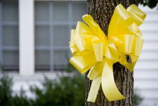 I read something very interesting the other day from the Veterans Affairs Office of Economic Opportunity about the Yellow Ribbon Programs. Yes, I said “ProgramS.” That “S” is what really caught […]