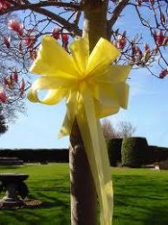 Jailed Man Who was Forgiven by His Wife (Yellow ribbons on a tree)