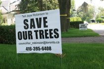 SAVE OUR TREES: Mildenhall Road resident Rick Hutcheon has distributed these signs throughout Lawrence Park, urging residents to contact Ward 25 Councillor Jaye Robinson if they want to prevent 349 trees in their neighbourhood from being uprooted during future construction.