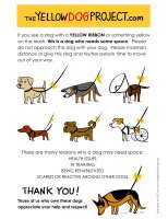 The Yellow Dog Project PSA