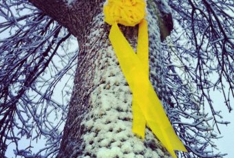 Buy large Yellow Ribbon for Tree