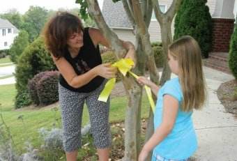 Tying Yellow ribbons on trees
