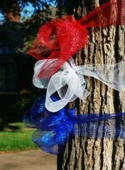 Tying Ribbons Around Trees